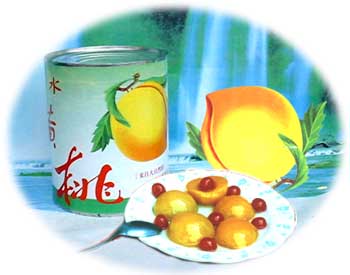 taozi1.jpg (13532 bytes)